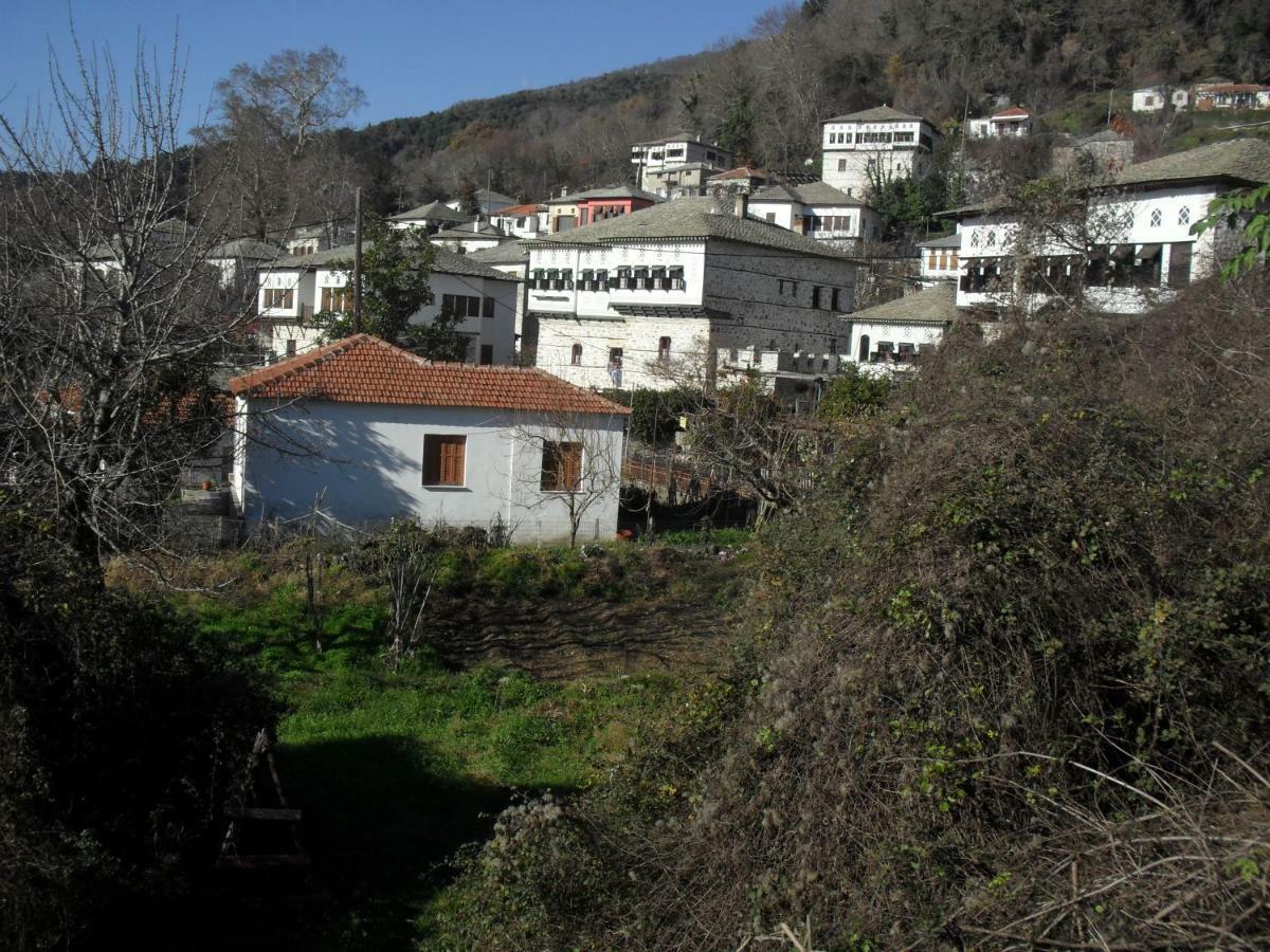 Guesthouse Dimou Vyzitsa Exterior photo